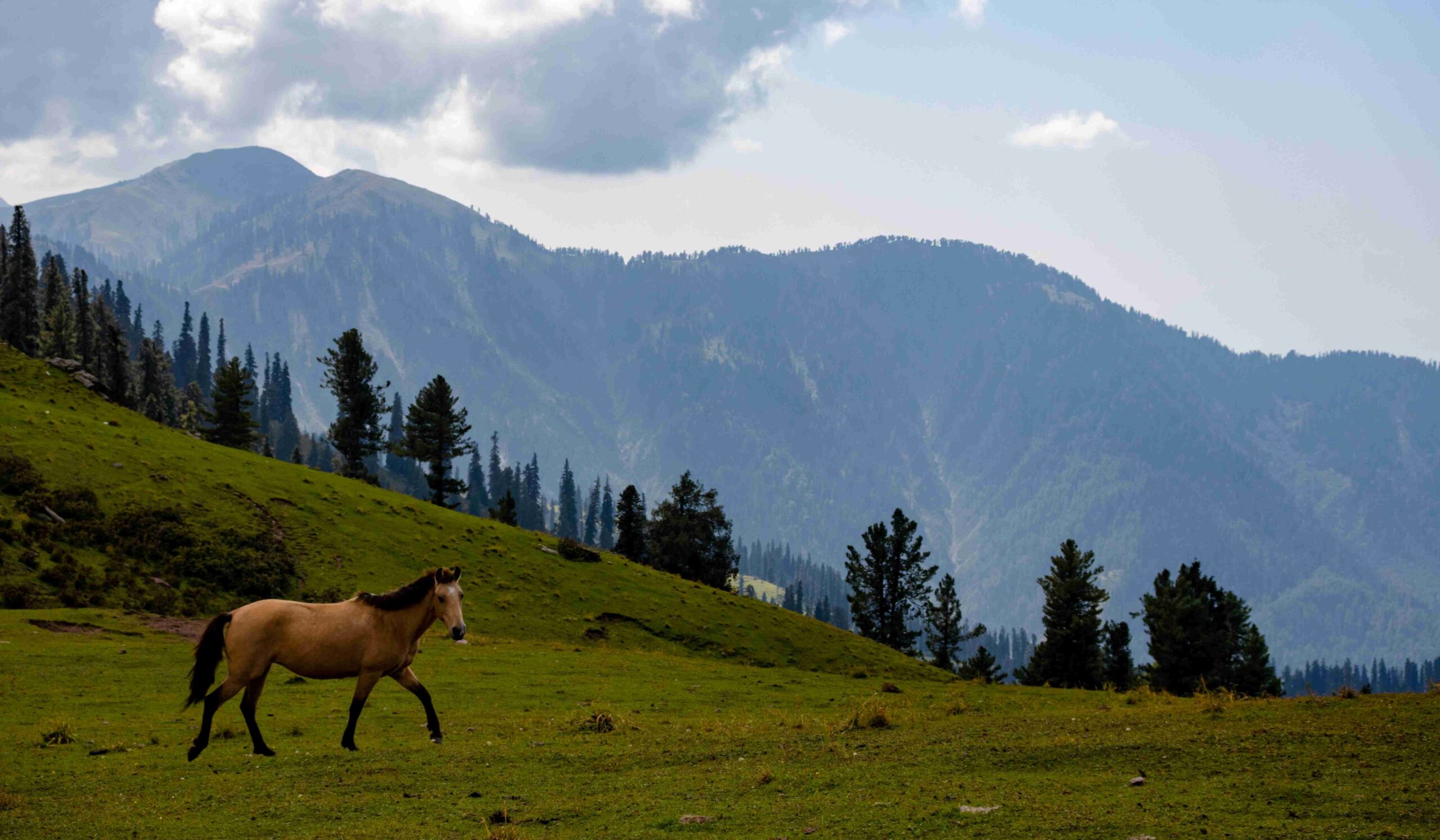 You are currently viewing All you need to know before visiting Shogran Valley