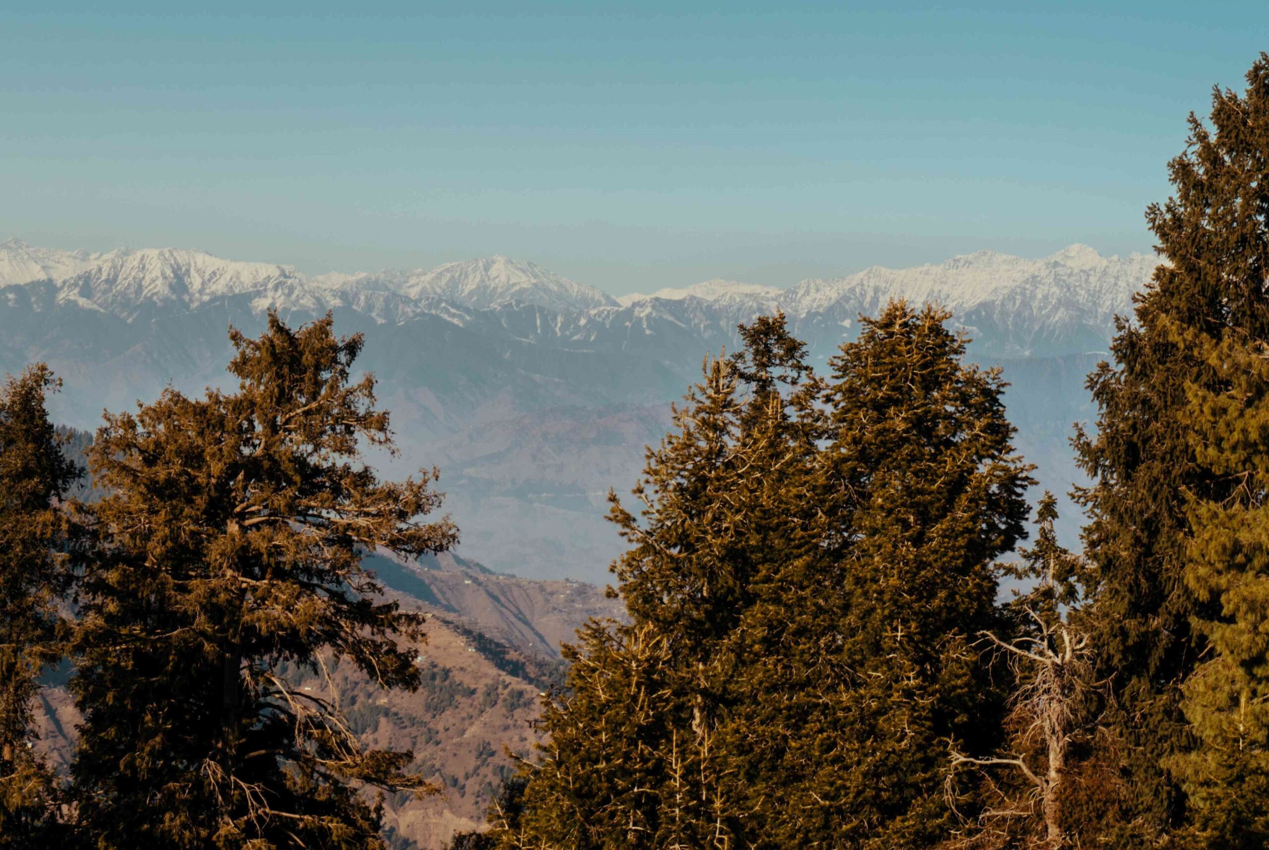 You are currently viewing A Guide to Exploring Mushkpuri Top: A Must-Visit Destination