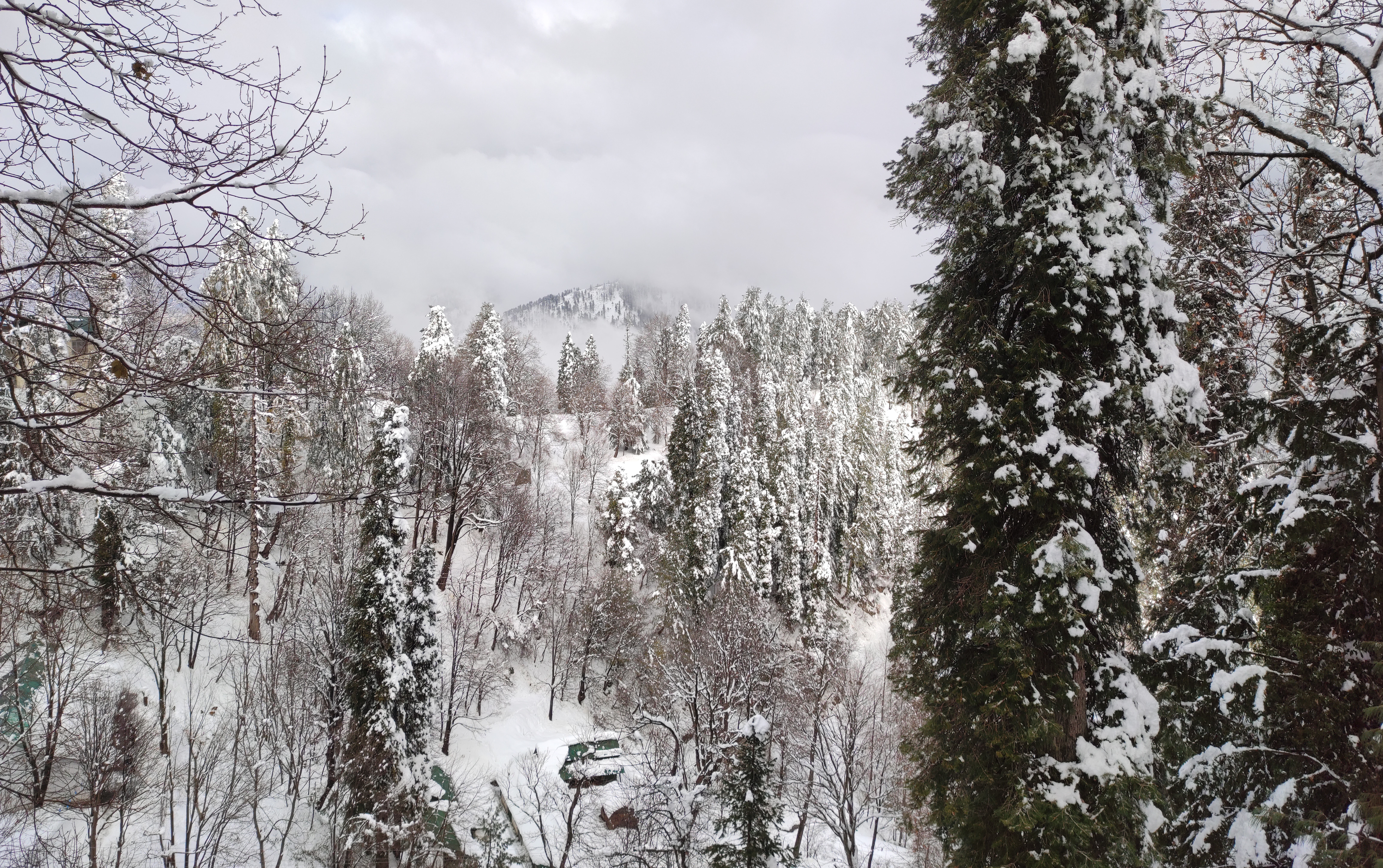 Read more about the article A complete guide to explore and visit Nathia Gali