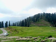 places to visit in kashmir, tolipeer